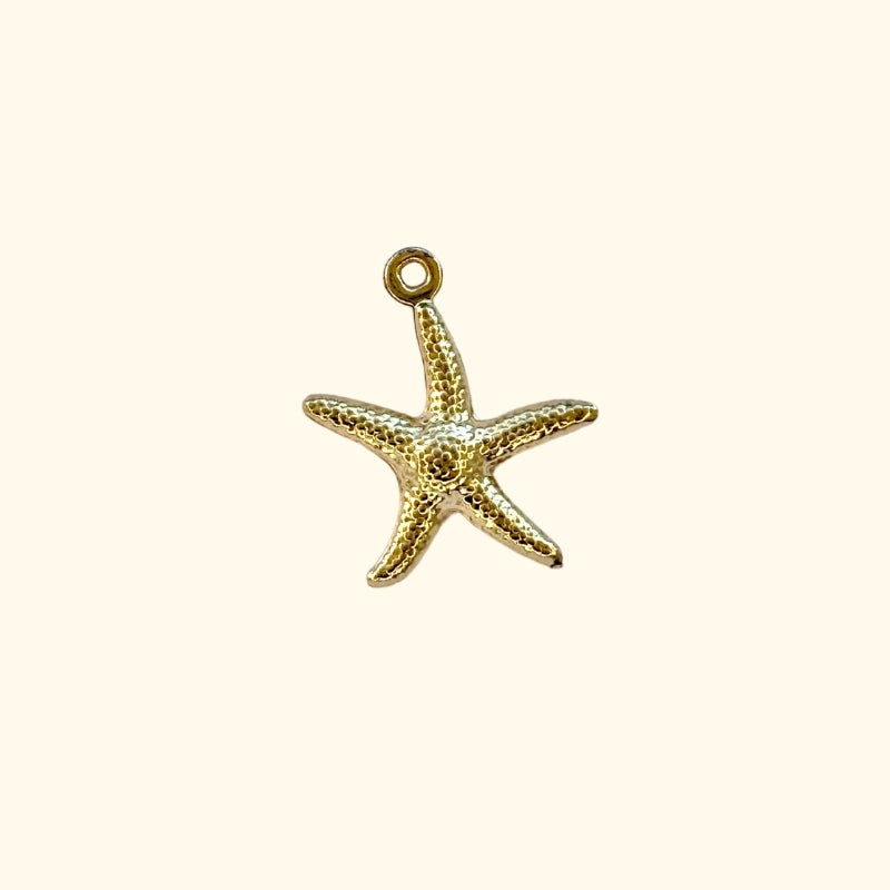 ETOILE DE MER