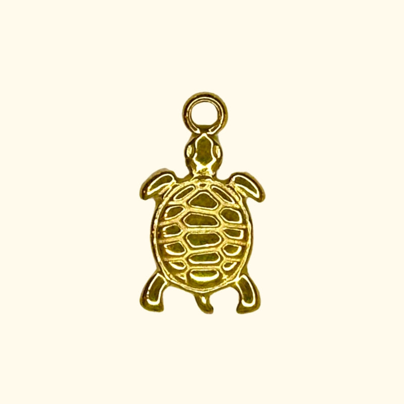 TORTUE