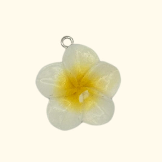 FLEUR BLANCHE