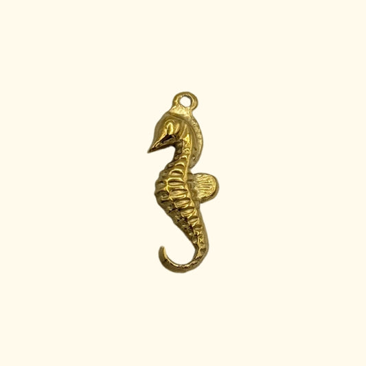 HIPPOCAMPE