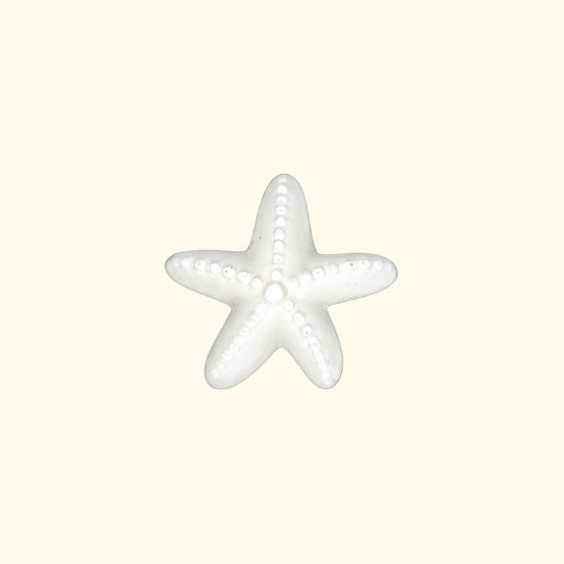 ÉTOILE DE MER CÉRAMIQUE