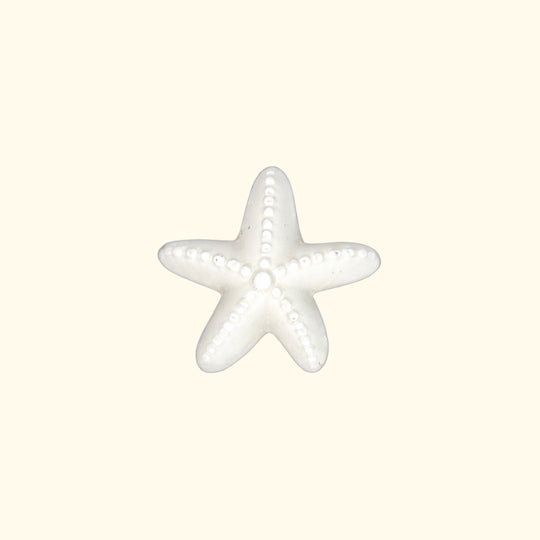 ÉTOILE DE MER CÉRAMIQUE