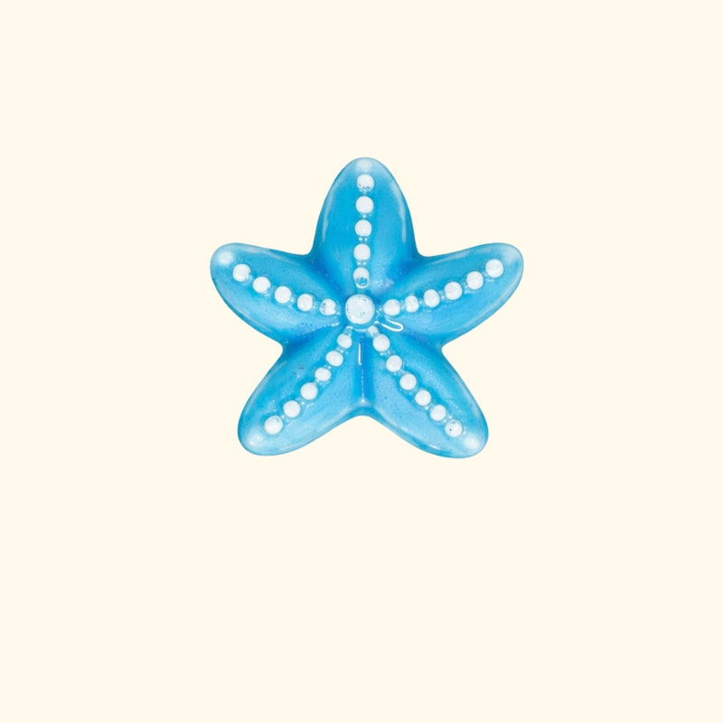 ÉTOILE DE MER CÉRAMIQUE