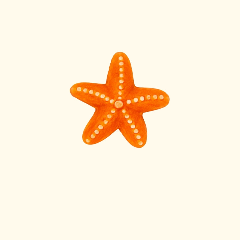 ÉTOILE DE MER CÉRAMIQUE