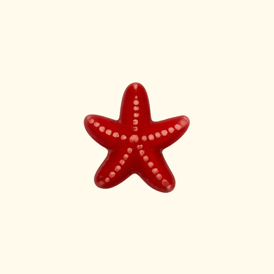 ÉTOILE DE MER CÉRAMIQUE