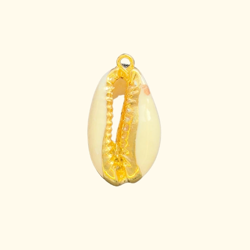 COQUILLAGE DORE