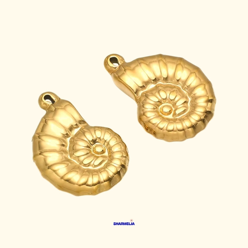 COQUILLAGE FOSSILE