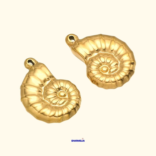 COQUILLAGE FOSSILE