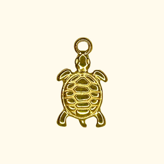 TORTUE