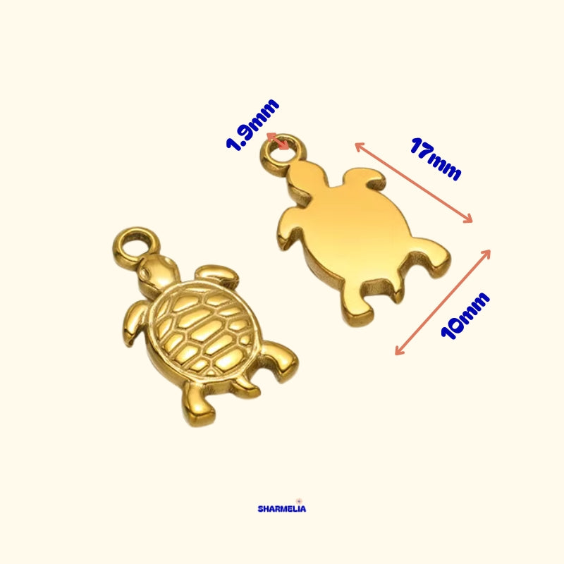 TORTUE